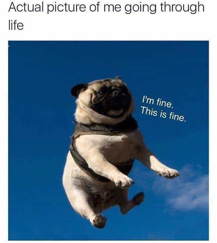 Actual picture of me going through life I'm fine this is fine - Pug Meme