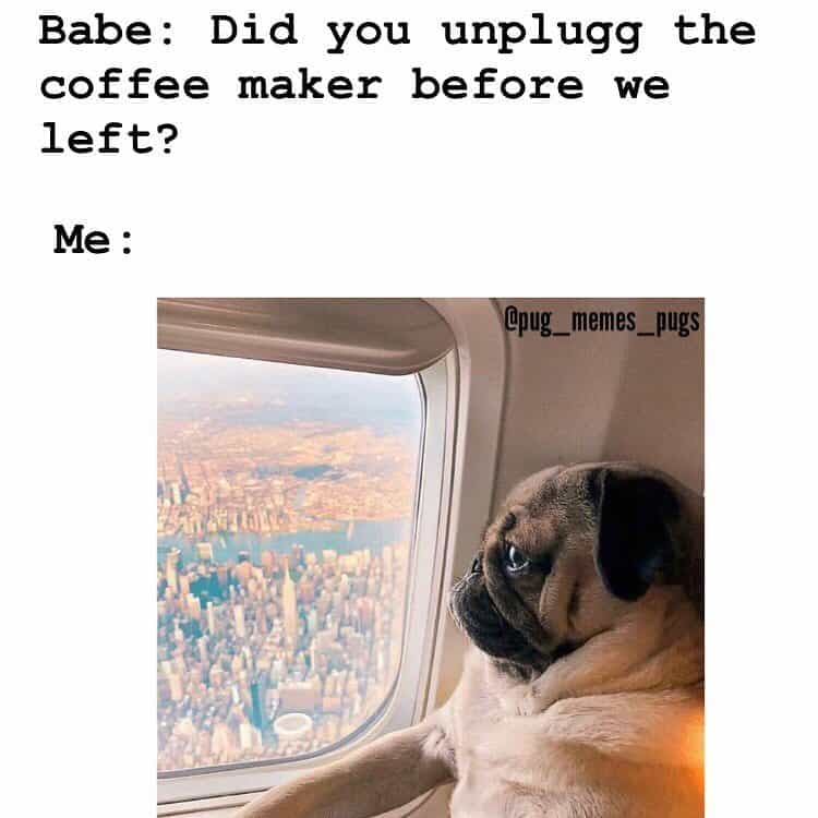 Babe did you unplug the coffee maker before we left me - Pug Meme