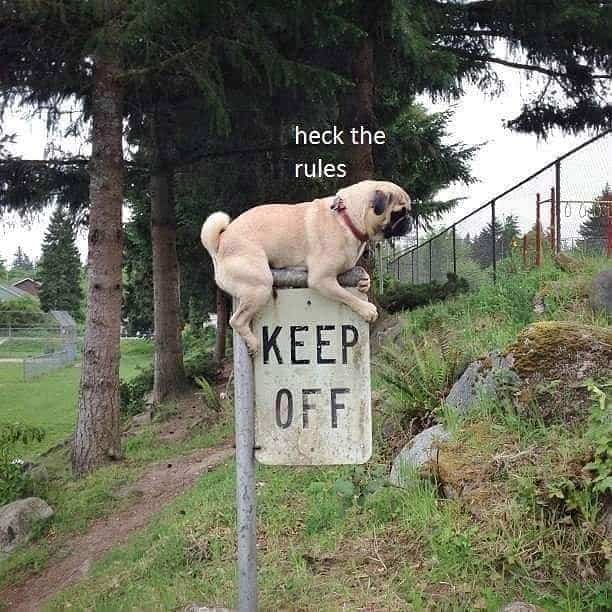 Heck the rules keep off - Pug Meme