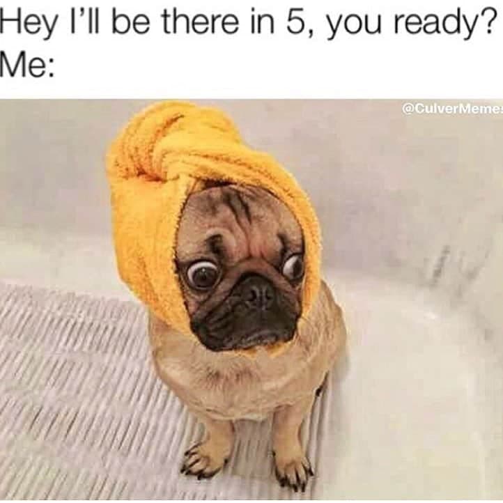 Hey i'll be there in 5, you ready me - pug meme
