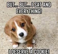 Beagle Meme - But... but... I sat and everything! I deserve a cookie!