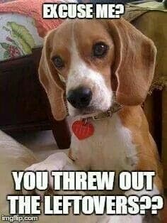 Beagle meme - excuse me. You threw out the leftovers