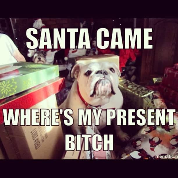 Bulldog Meme - Santa came where's my present bitch