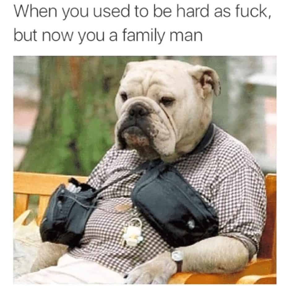 Bulldog meme - when you used to be hard as fuck, but now you a family man