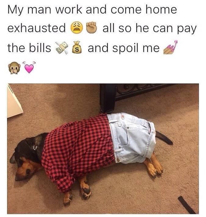 Weiner dog meme - my man work and come home exhausted all so he can pay the bills and spoil me