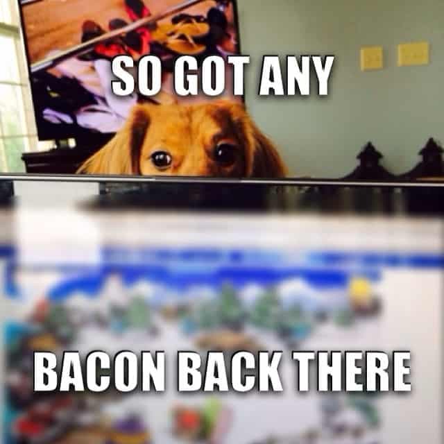 Weiner dog meme - so got any bacon back there