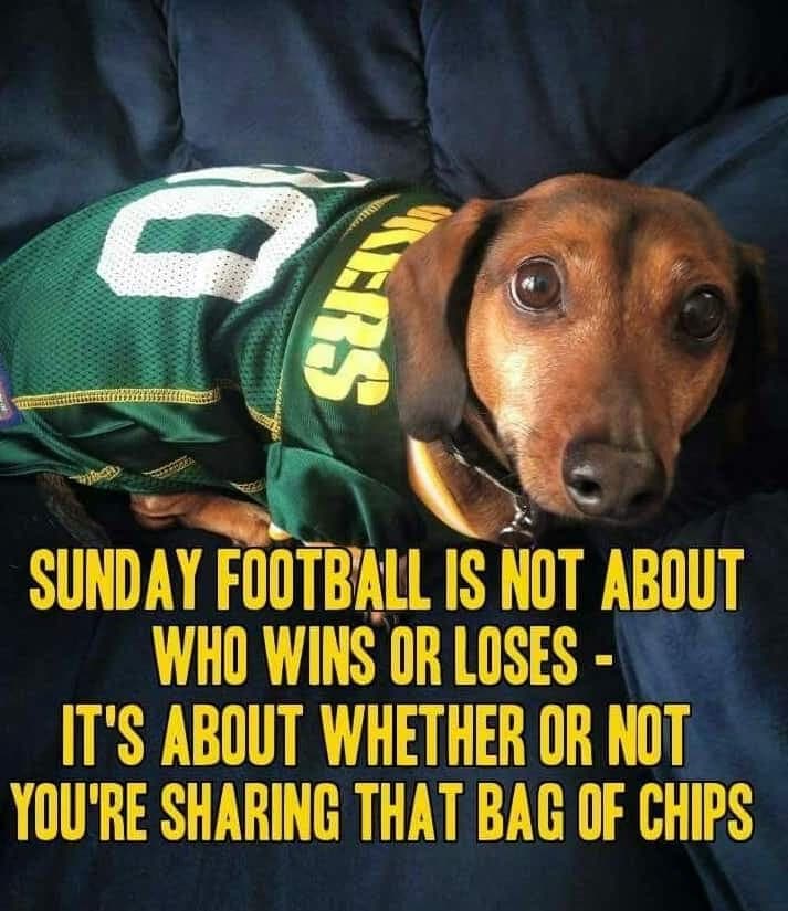 Weiner dog meme - sunday football is not about who wins or loses - it's about whether or not you're sharing that bag of chips