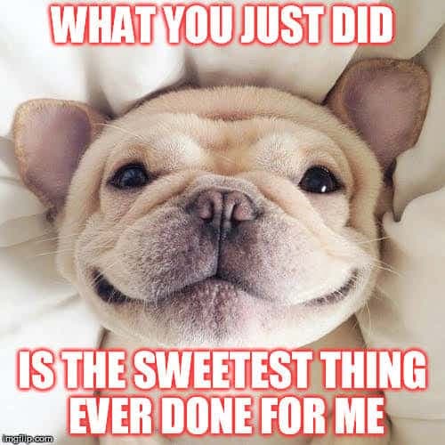 French bulldog meme - what you just did is the sweetest hing ever done for me