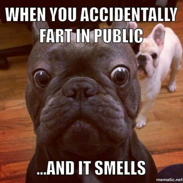 French Bulldog Meme - When you accidentally fart in public... and it smells