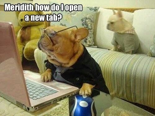 French bulldog meme - meridith how do i open a new tab