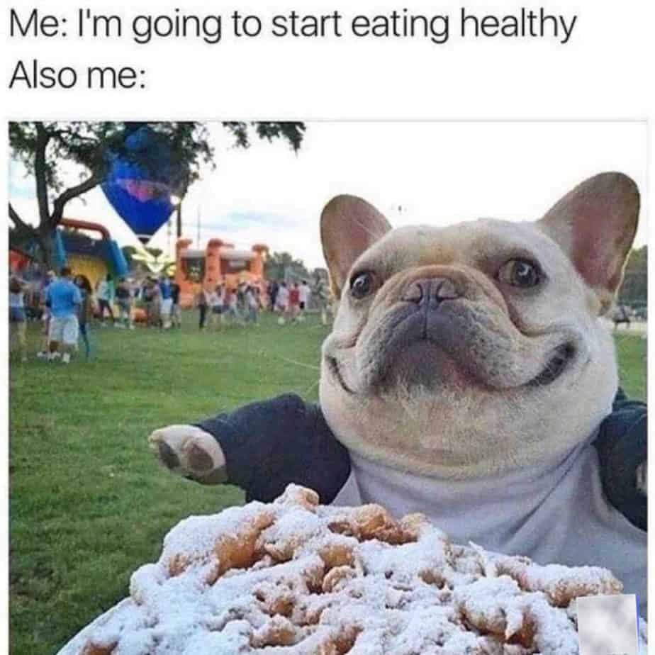 French bulldog meme - me; i'm going to start eating healthy also me;
