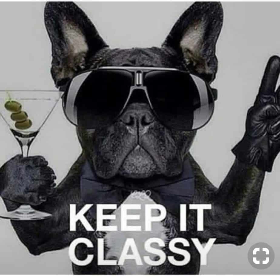 French Bulldog Meme - Keep it classy