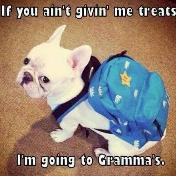 French Bulldog Meme - I'm bored maybe I should pretend to bark at a ghost