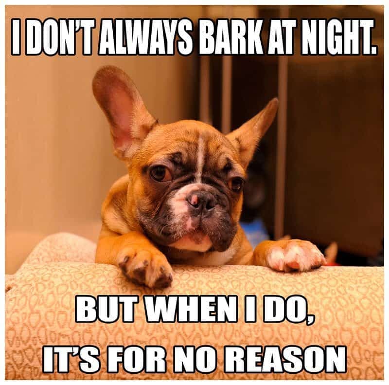 French Bulldog Meme - I don't always do yoga but when I do, I paws and reflect