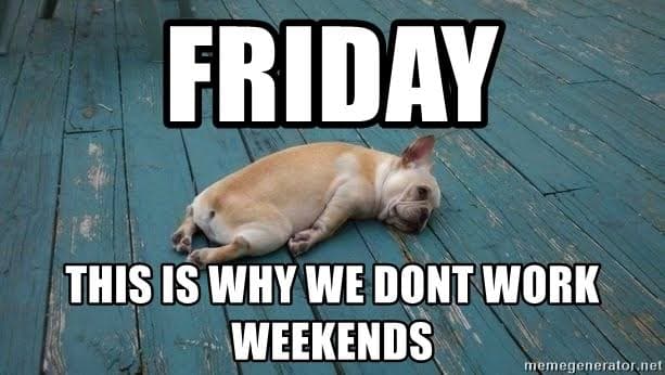 French Bulldog Meme - Friday this is why we dont work weekends