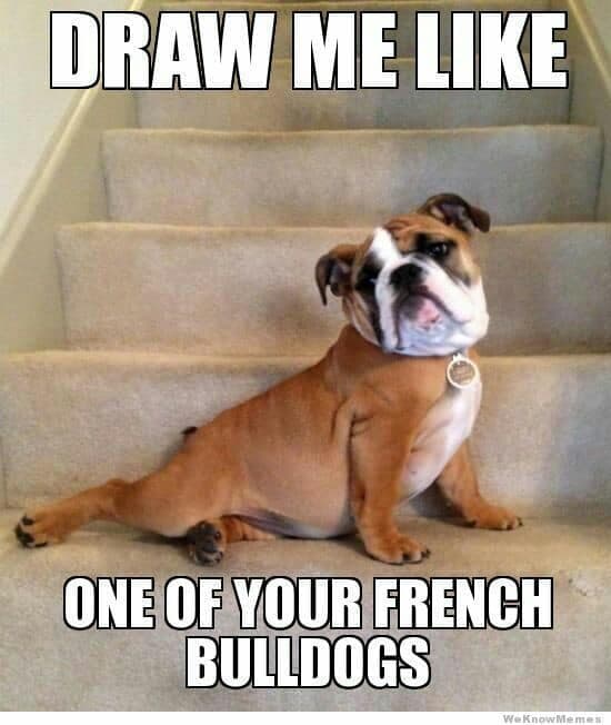 French bulldog meme - draw me like one of your french bulldogs