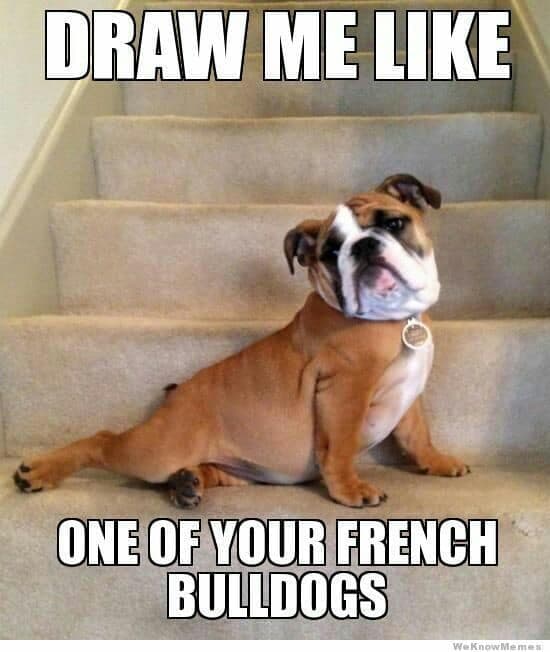 French Bulldog Meme - Draw me like one of your french bulldogs