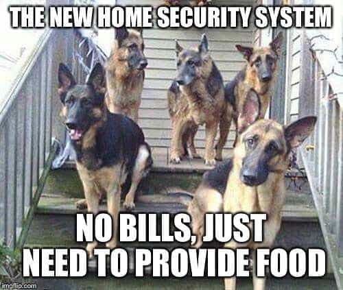 German shepherd meme - the new home security system no bills just need to provide food