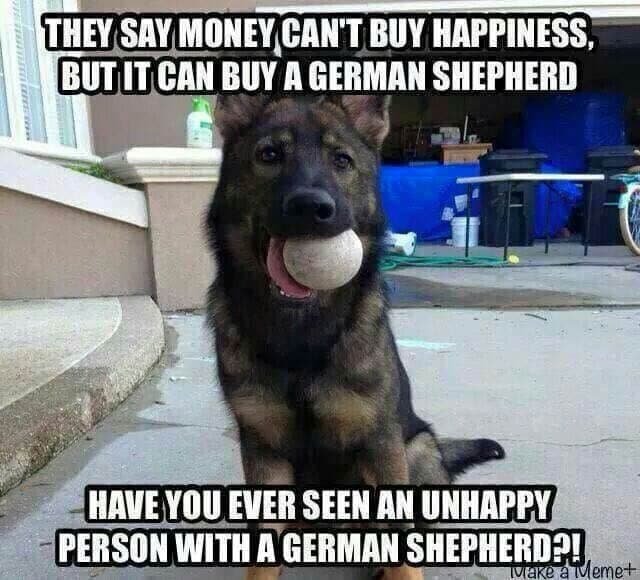 German shepherd meme - they say money can't buy happiness, but it can buy a german shepherd have you ever seen unhappy person with a german shepherd