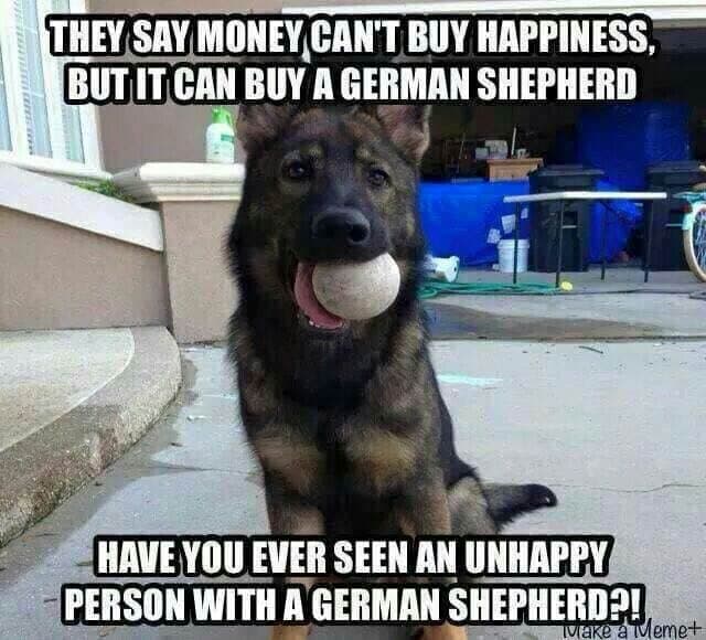 German Shepherd Meme - They say money can't buy happiness, but it can buy a german shepherd have you ever seen unhappy person with a german shepherd