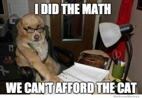 Golden Retriever Meme - I did the math we can't afford the cat