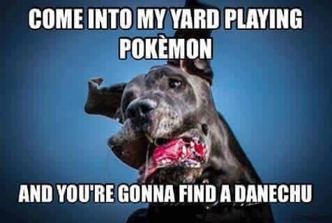 Great dane meme - come into my yard playing pokemon and you're gonna find a danechu