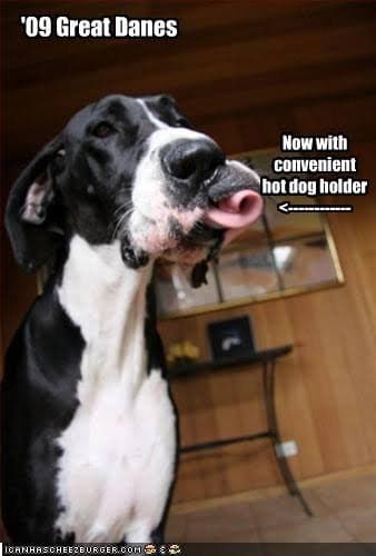 Great Dane Meme - '09 Great Danes. Now with convenient hot dog holder