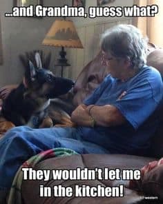 Petting dog meme - and grandma, guess what. They wouldn't let me in the kitchen