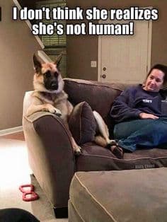 Petting dog meme - i don't think she realizes she's not human!