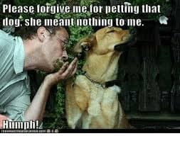 Petting Dog Meme - Please forgive me for petting that dog she meant nothing to me. Hmmph!