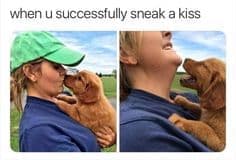Petting dog meme - when u successfully sneak a kiss