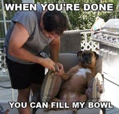 Petting Dog Meme - When you're done you can fill my bowl