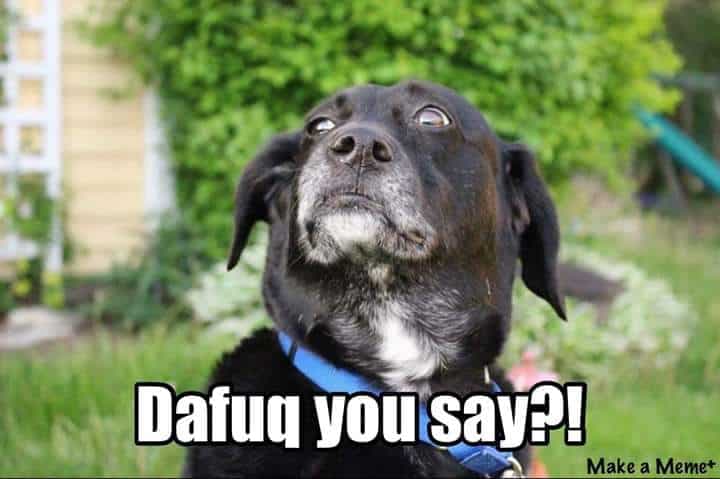 Hilarious Dog Meme - Dafuq you say!