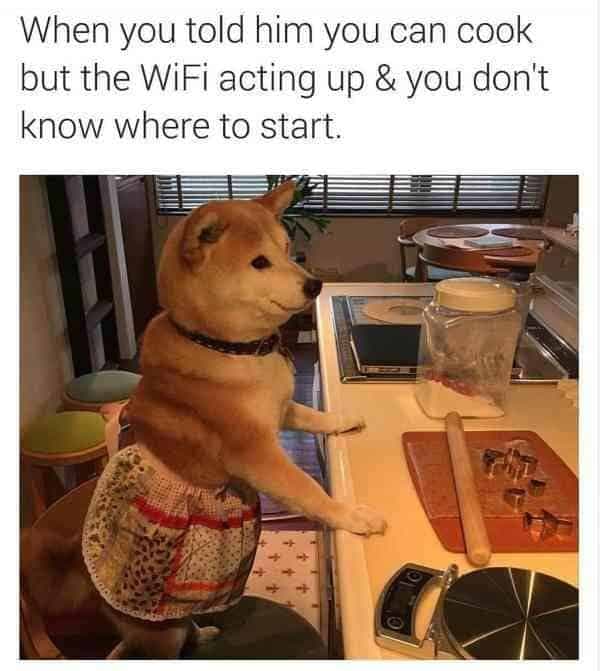 Hilarious dog meme - when you told him you can cook but the wifi acting up and you don't know where to start