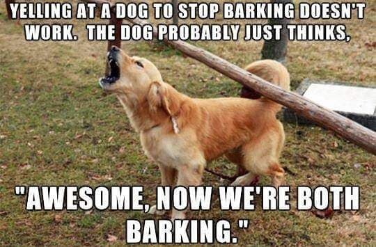Hilarious dog meme - yelling at a dog to stop barking doesn't work. The dog probably just thinks 'awesome, now we're both barking'.