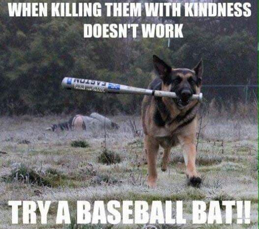 Hilarious dog meme -when killing them with kindness doesn't work try a baseball bat!!