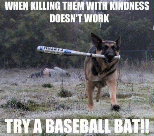 Hilarious Dog Meme -When killing them with kindness doesn't work try a baseball bat!!