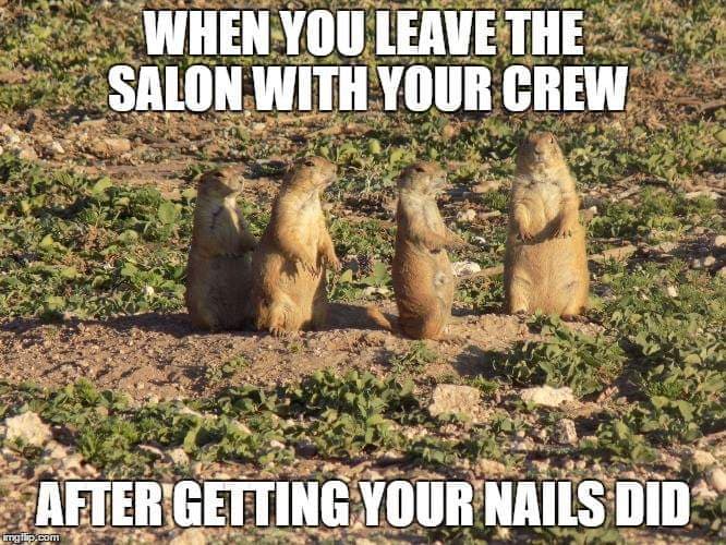 Prairie dog meme - when you leave the salon with your crew after getting your nails did