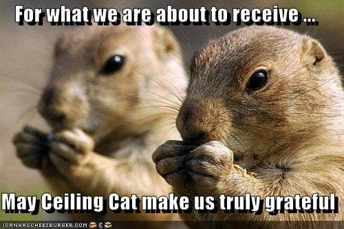 Prairie Dog Meme - For what we are about to receive.... May ceiling cat makes us truly graceful