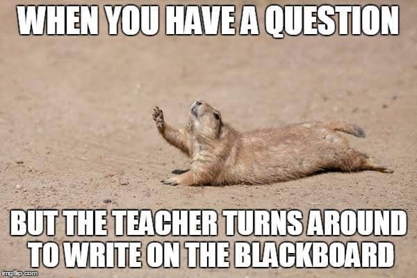 Prairie dog meme - when you have a question but the teacher turns around to write on the blackboard