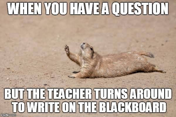 Prairie Dog Meme - when you have a question but the teacher turns around to write on the blackboard