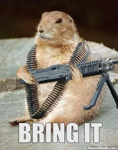 Prairie dog meme - bring it