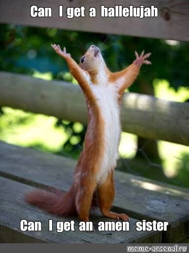 Prairie dog meme - can i get a hallelujah. Can i get an amen sister