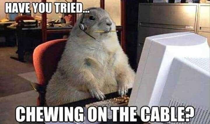 Prairie dog meme - have you tried... Chewing on the cable