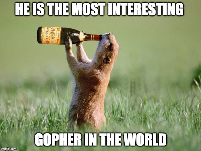 Prairie dog meme - he is the most interesting gopher in the world