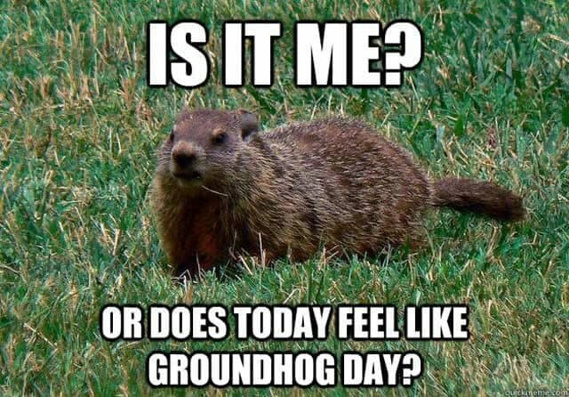 Prairie Dog Meme - Is it me? or does today feel like groundhog day?