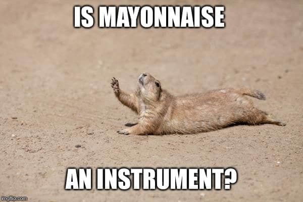 Prairie dog meme - is mayonnaise an instrument?