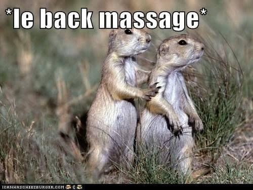 Prairie dog meme - 'le back massage'