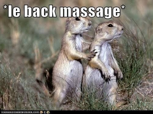 Prairie Dog Meme - 'le back massage'