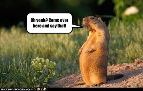 Prairie dog meme - oh yeah come over here and say that!